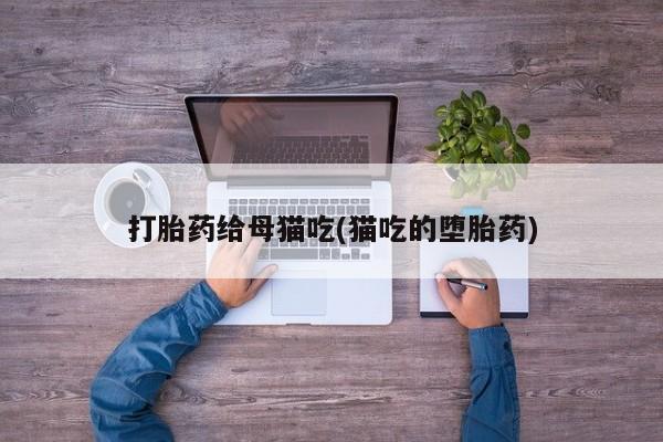流产药叫什么名购买流程打胎药给母猫吃(猫吃的堕胎药)